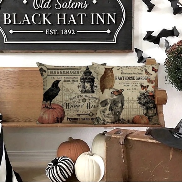 Skull & owl Dark Acedemia Halloween pillow cover - Picture 2 of 9